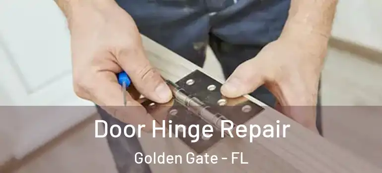  Door Hinge Repair Golden Gate - FL