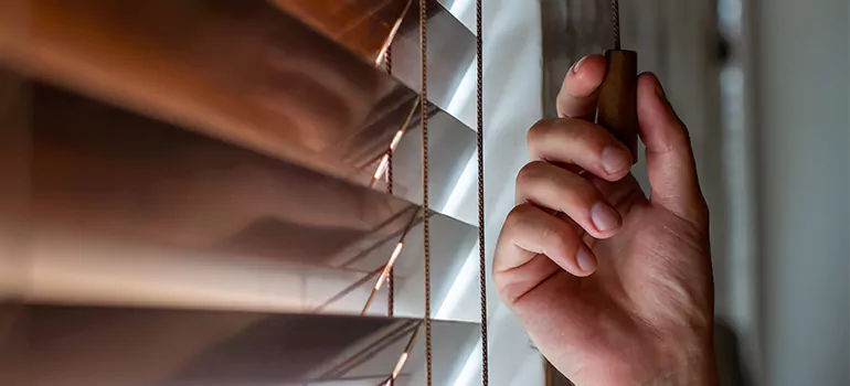 Double Roller Blinds in Golden Gate, FL