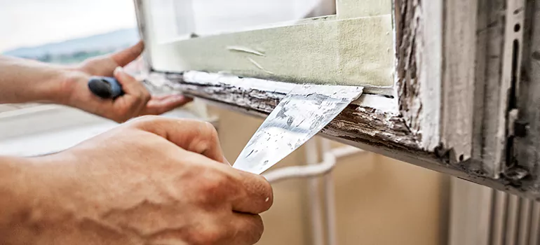 Exterior Window Frame Repair in Golden Gate, FL