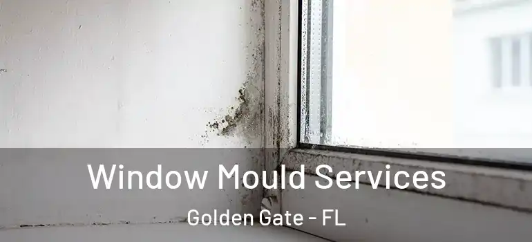  Window Mould Services Golden Gate - FL